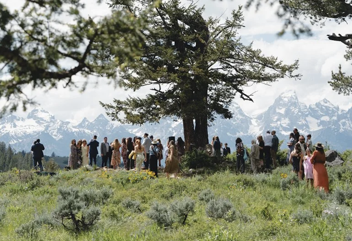 The Wedding Tree, Jackson Hole